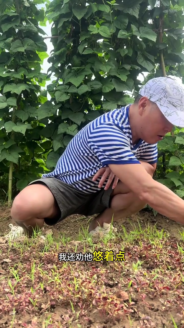 农村烟火：鳡鱼肉做鱼丸，一鳡二白为上等