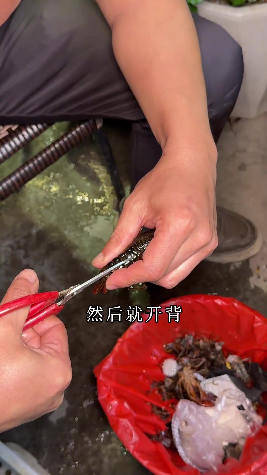 又到了淄博人吃小龙虾的季节了