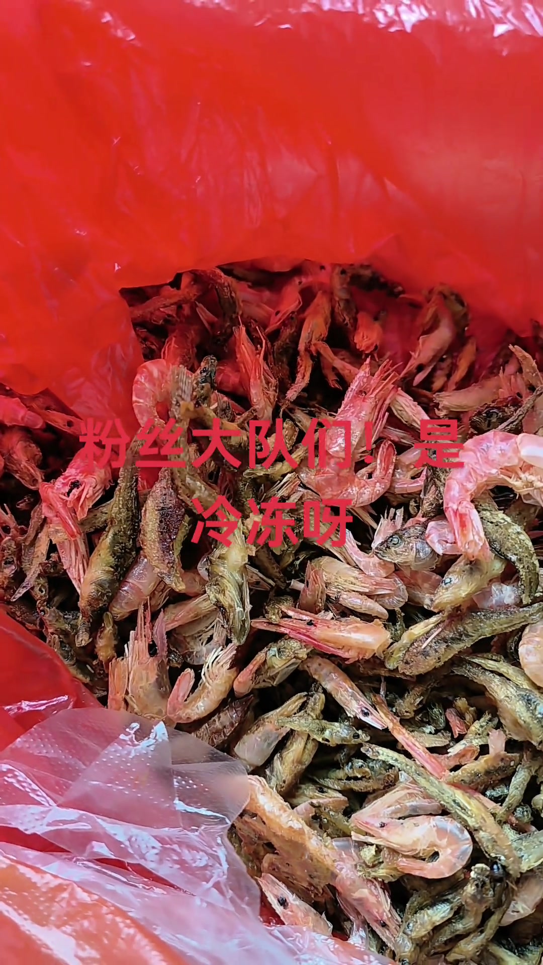 锅巴鱼超棒！冻冰柜里超香晚上拿它煮汤喝