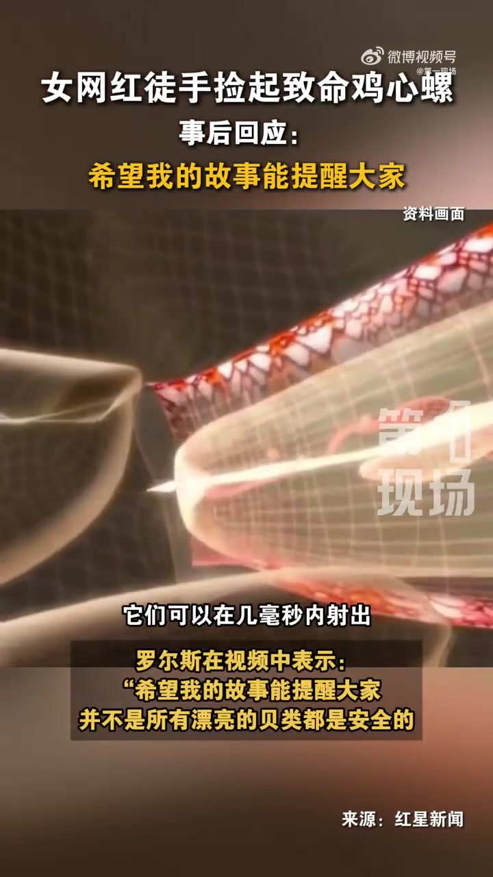 「后怕！女网红海边徒手捡起致命鸡心螺」被鸡心螺毒针刺中可致麻痹甚至死亡 注意！这种海螺碰了