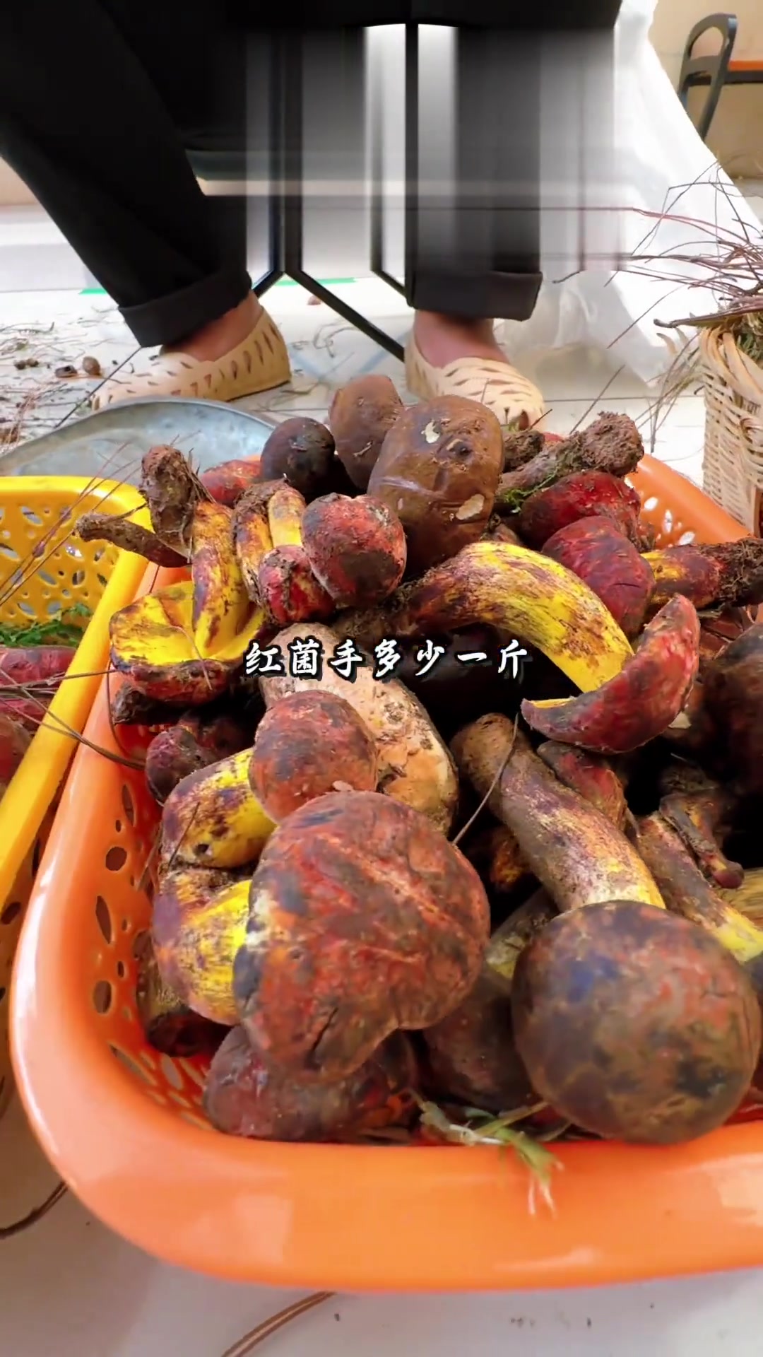 新鲜野生菌在石屏西门农贸市场上市