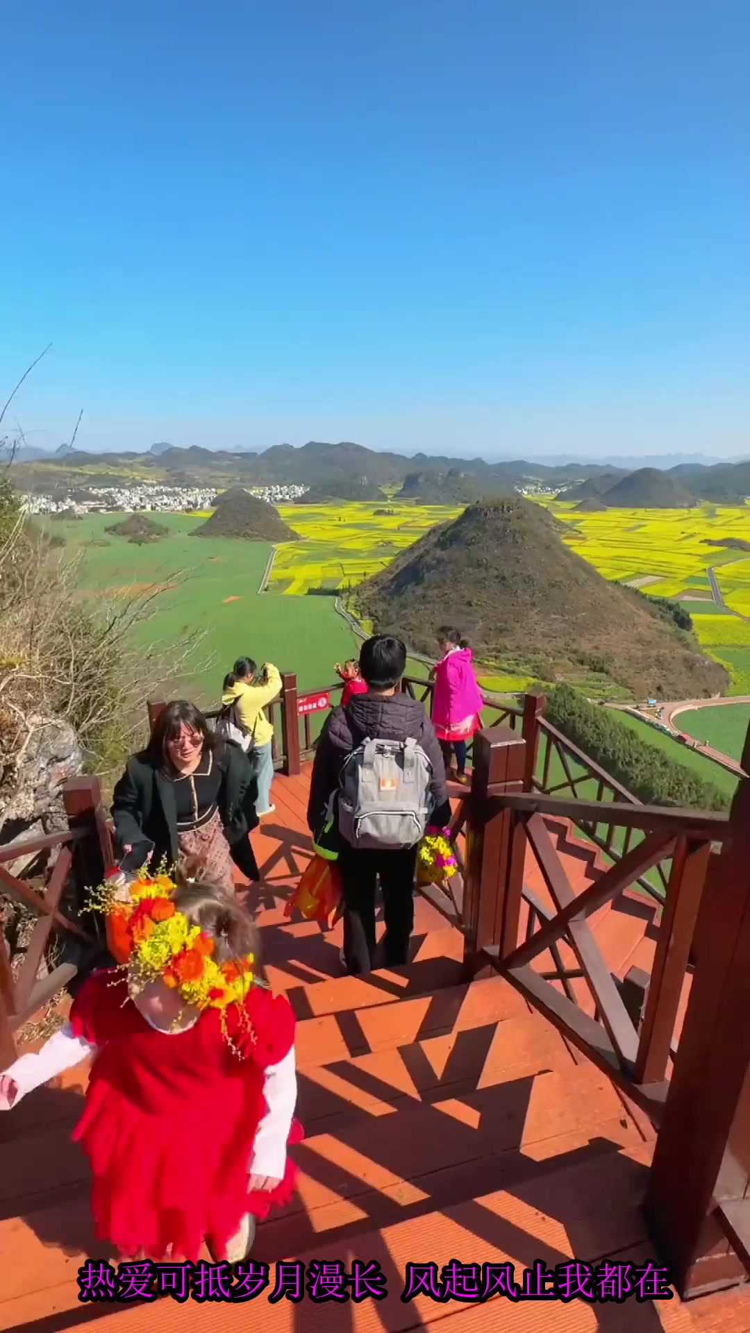 夏日旅行,罗平百万亩油菜花已经盛开,你想什么时候来,旅游推荐