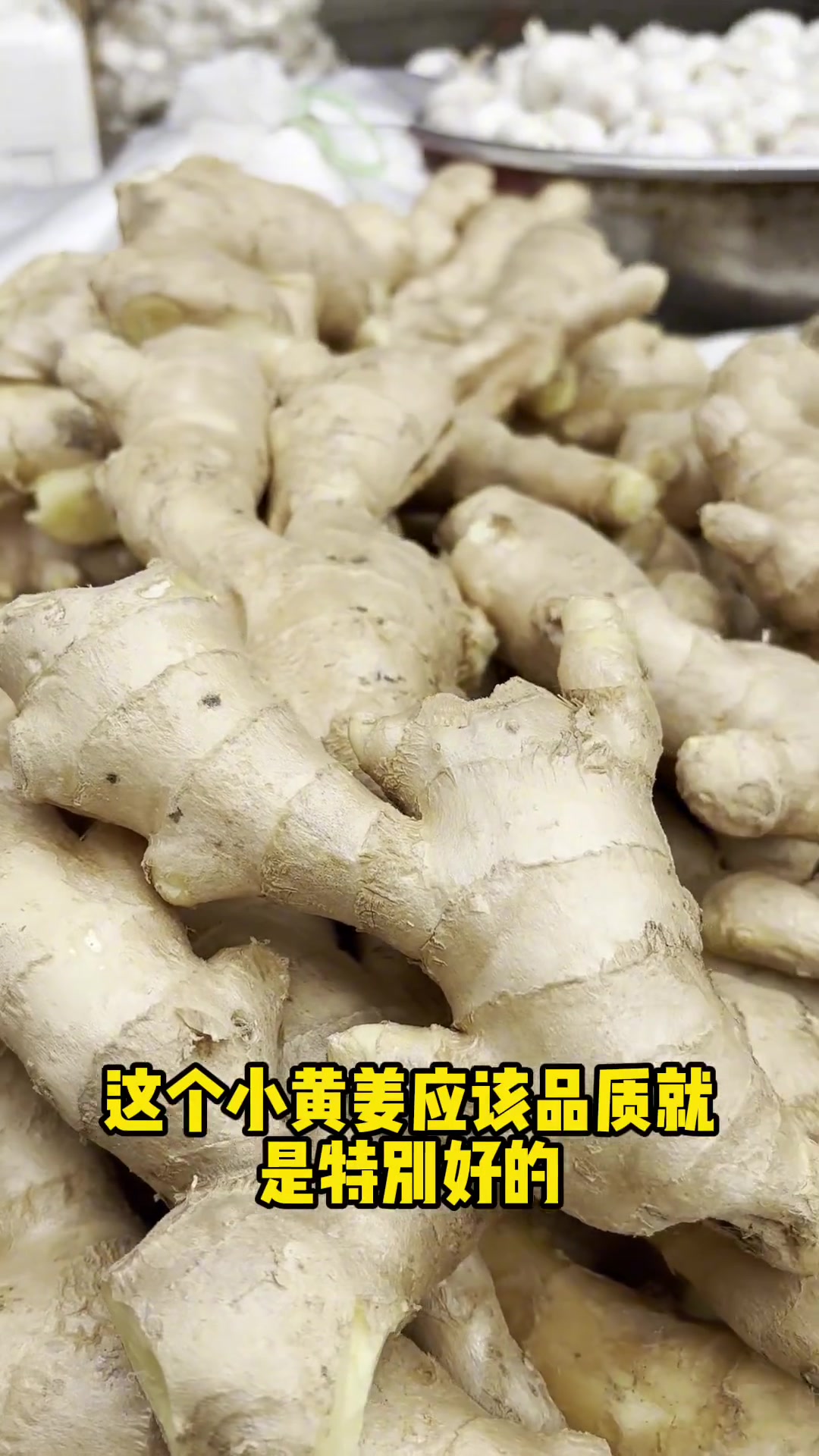 2025,从“心”开始王家味鱼鲜野菜美食节暨春季菜品发售会皖南美食选材之旅,打卡当地巿场「