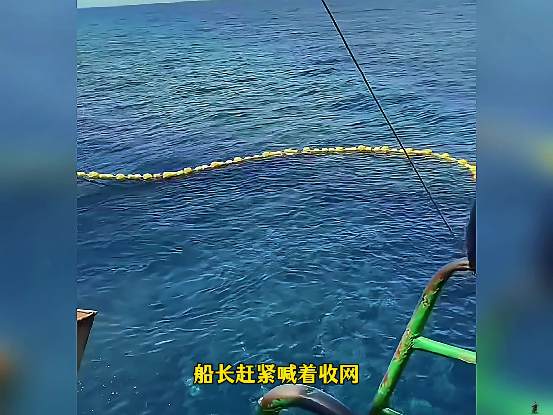 船长出海捕鱼遇到密密麻麻的蓝鳍金枪鱼群！