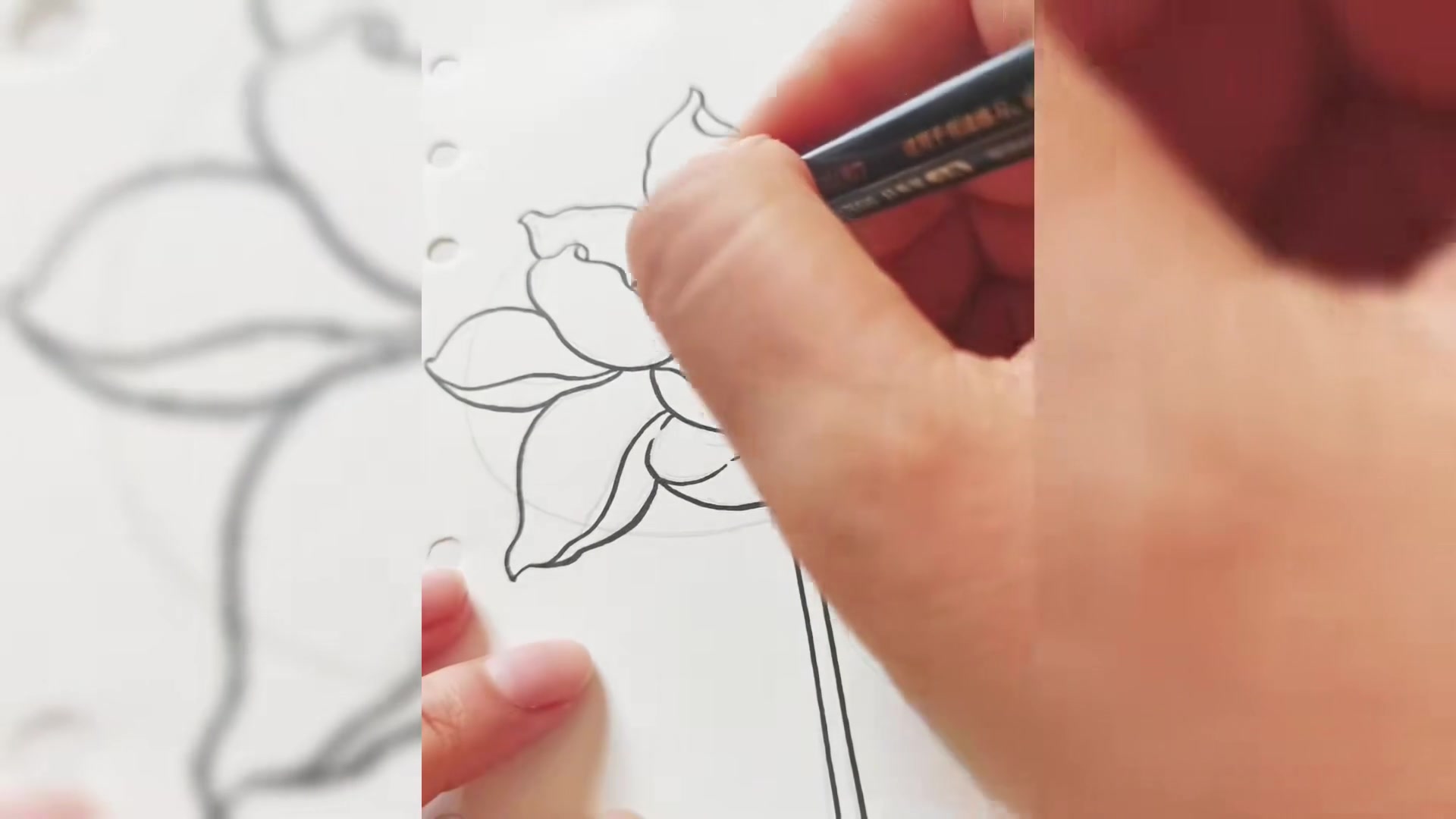 线描荷花 夏天的风手绘手绘作品画画????简笔画画绘画作品