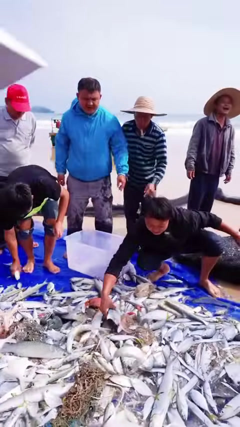 花4万去大海里拉10网鱼,全村的叔叔阿姨来帮我们拉网 (11)