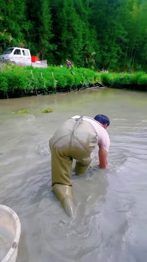 包下一个88岁老奶奶的鱼塘,没想到鱼竟然是金色的 (2)