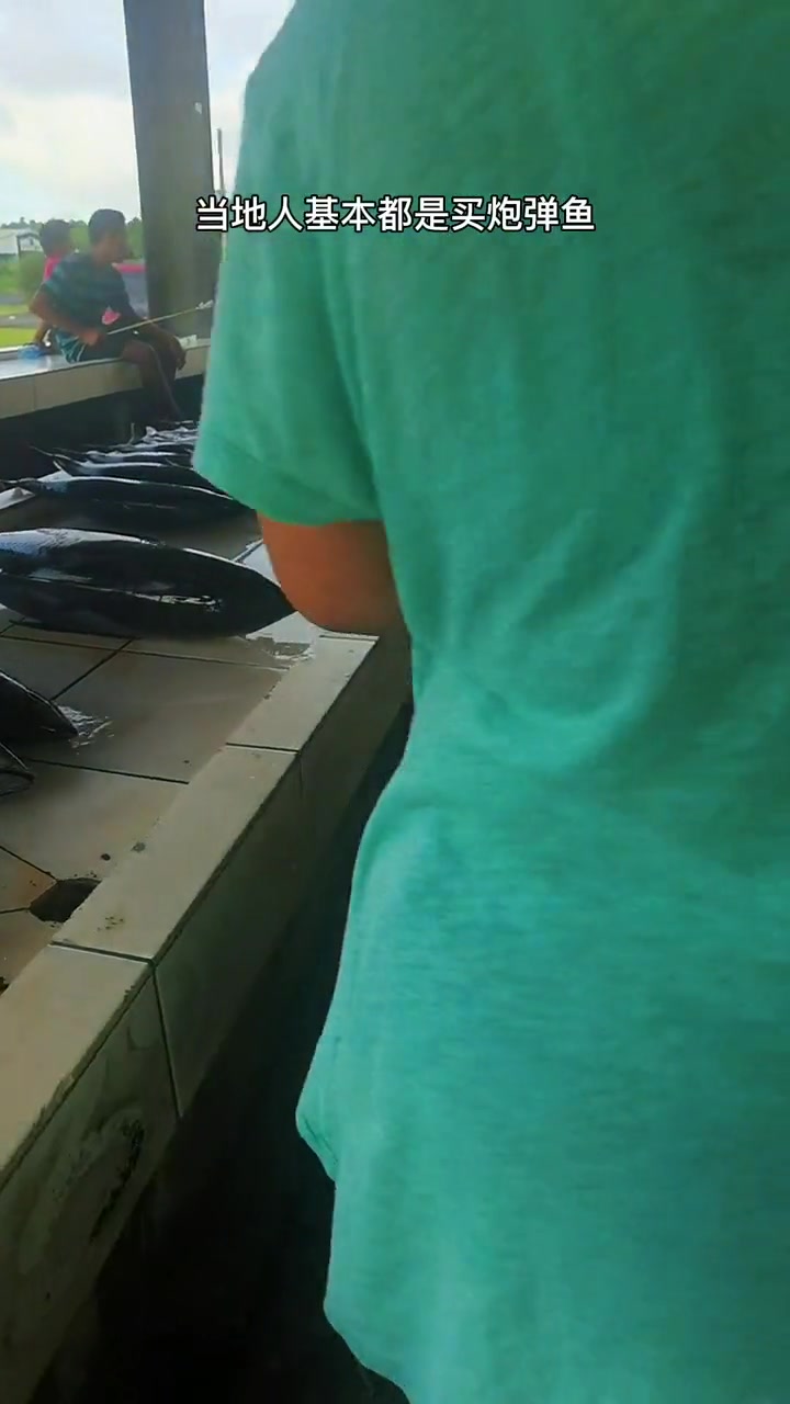 今天这条黄鳍金枪鱼应该100斤左右，当地人还是比较喜欢这种鱼刺身