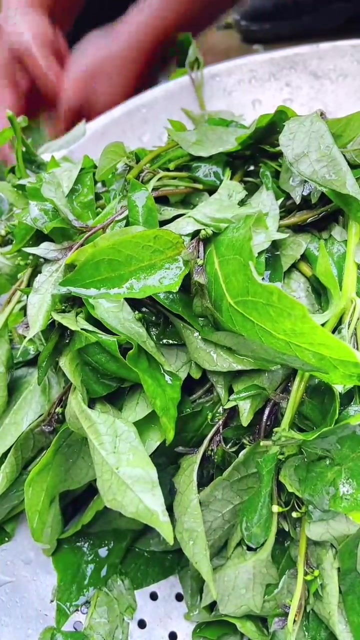 果子熟了可以食用、是儿时的小零食，嫩叶则是山里人美食，我们叫它苦凉菜，你们吃过吗？