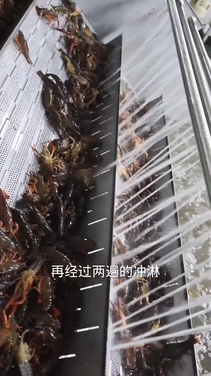 千呼万唤使出来闪亮登场此次溯源之旅来到洪湖安井集团了大品牌品质有保证，技术到位保证口感别错