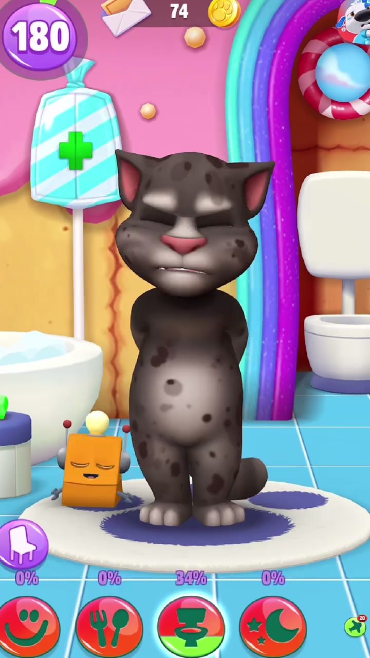 我的汤姆猫,好可爱的小猫
