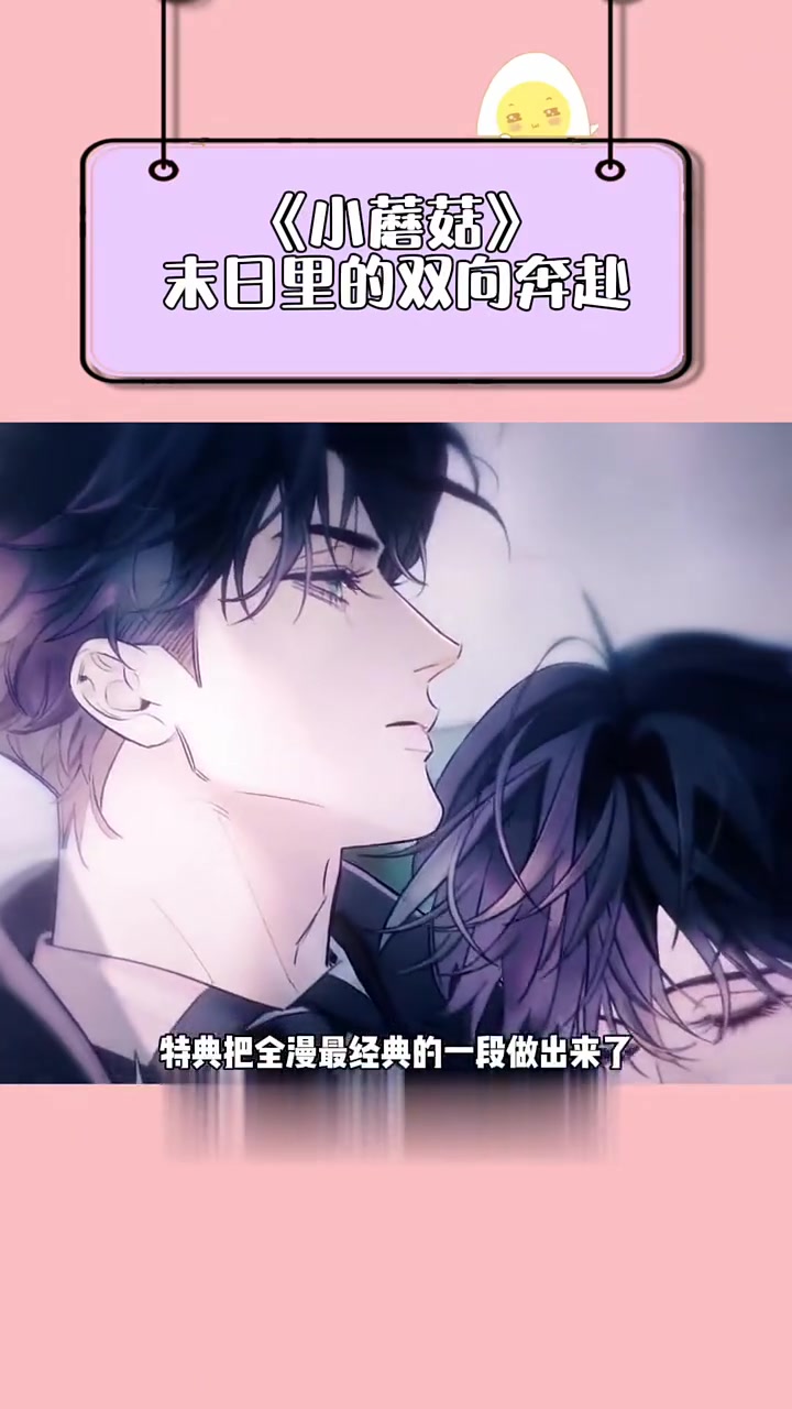 陆沨和安折就是末日里最浪漫的双向奔赴