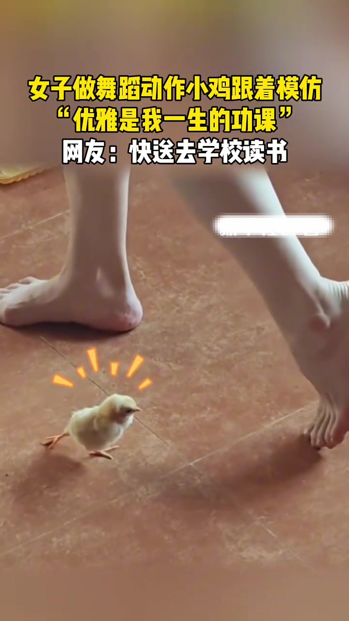 女子做舞蹈动作小鸡跟着模仿，“优雅是我一生的功课”