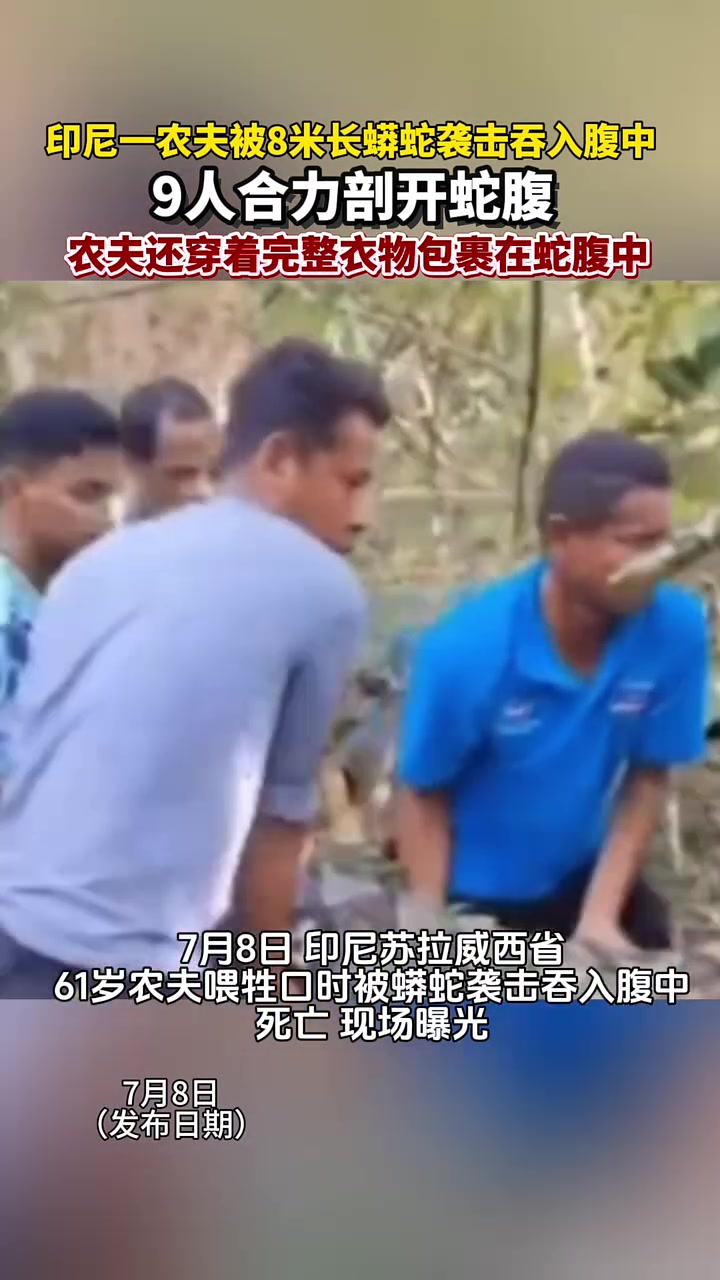 印尼8米长蟒蛇吞下一名农夫,家属拍打蛇腹部痛哭,剖开蛇腹发现完整遗体