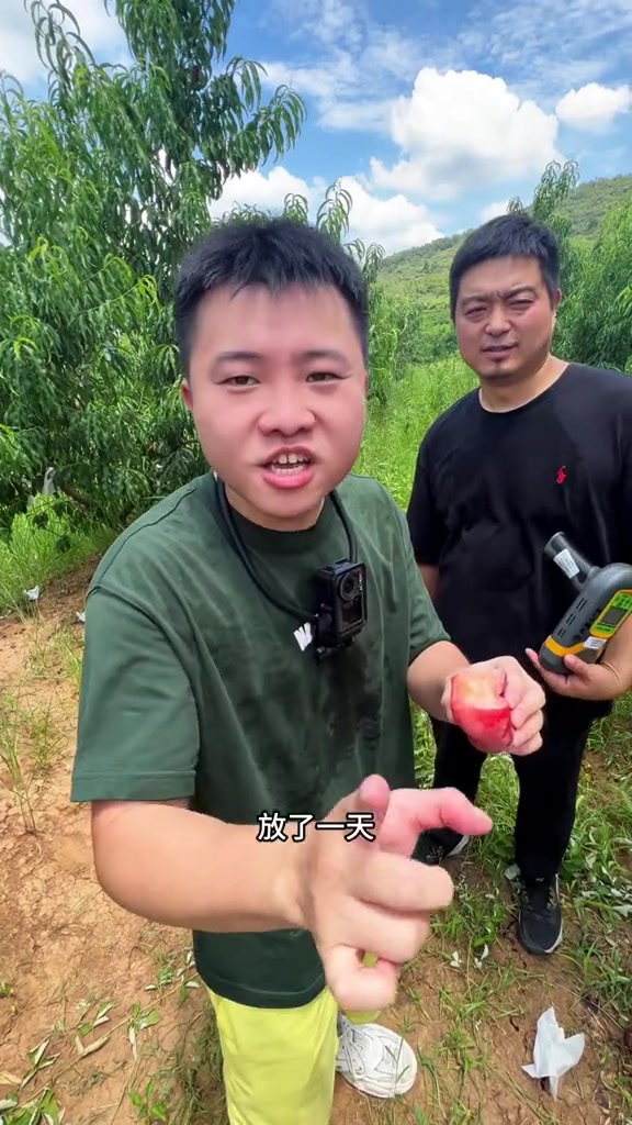 中国浦口南京汤泉，南京人自己的桃园又美又甜