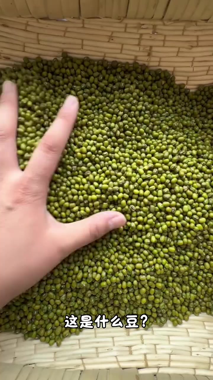 豆子大全,有你认识的豆子吗?