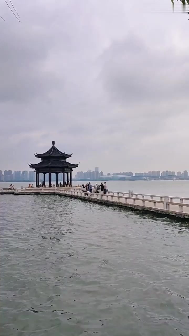 夏日旅游,苏州金鸡湖还有这么美的地方叫李公堤旅游推荐