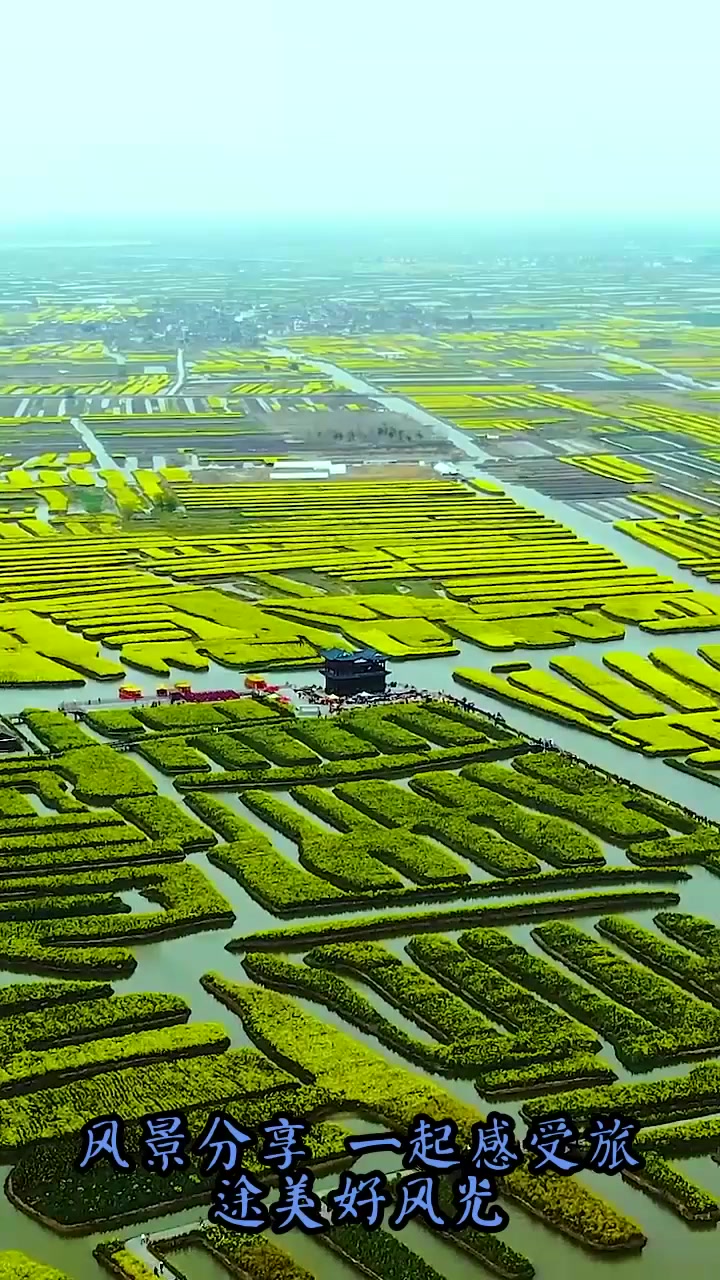 夏日旅游,油菜花,春天里最美的花,正是农民们馈赠给春天,大自