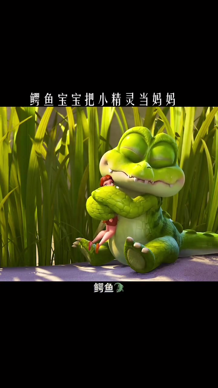 可爱小鳄鱼,怎么就没人要呢?