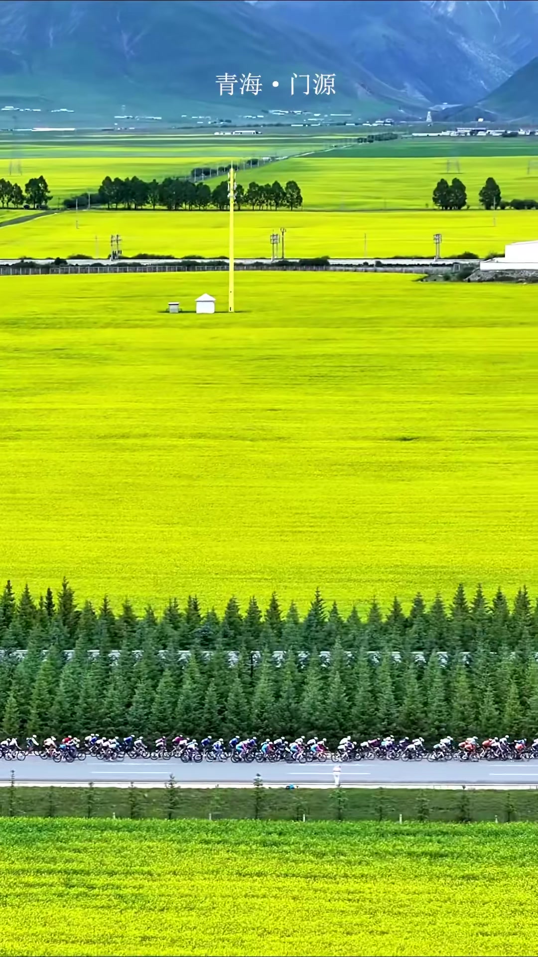 2025“环青赛”第三赛段，穿行门源百里油菜花海，最美赛段