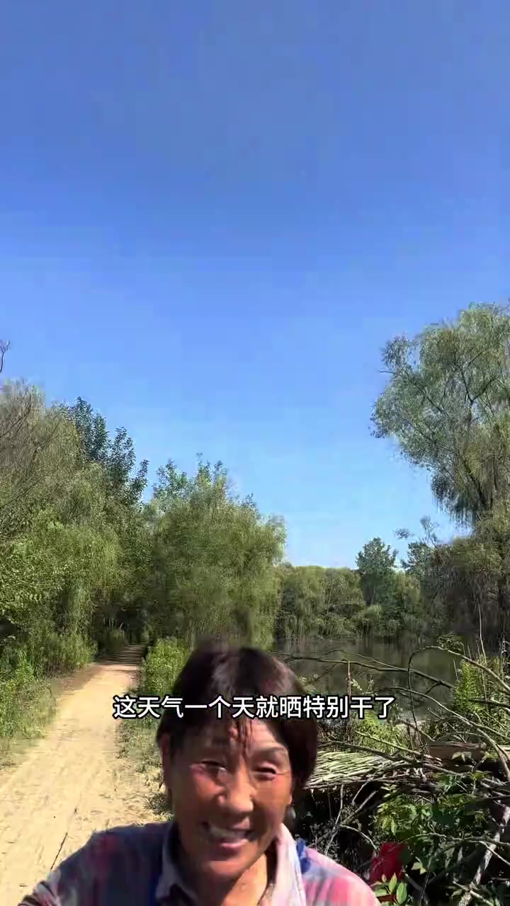 这个季节马齿苋特别多,用晒干的马齿苋做菜,特别的香