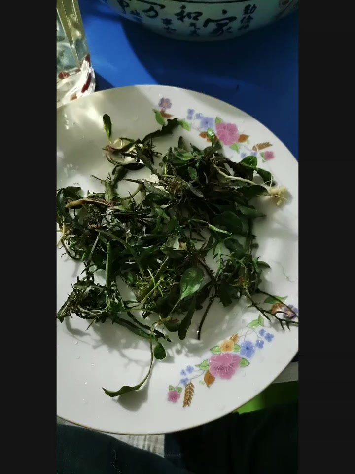 野山菜炖山鲜配人参鹿茸酒这谁顶得住啊