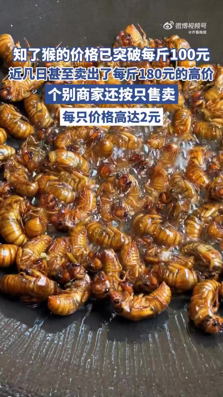 近年来,知了猴的市场热度持续攀升。在山东等地的烧烤摊和海鲜餐厅中,油炸知了猴几乎成了食客必