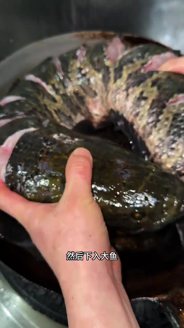 这样炖的大黑鱼超级好吃