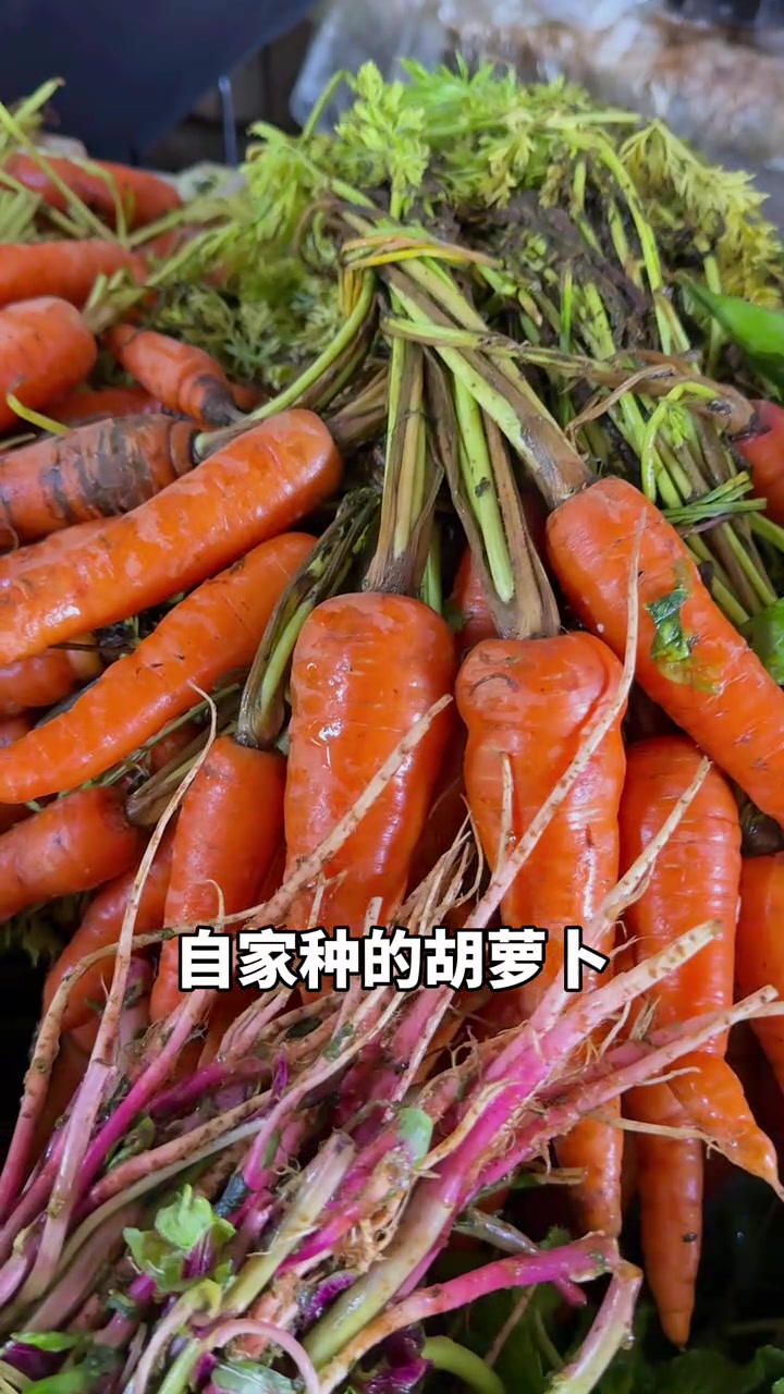 丽江菜市场都有些什么菜