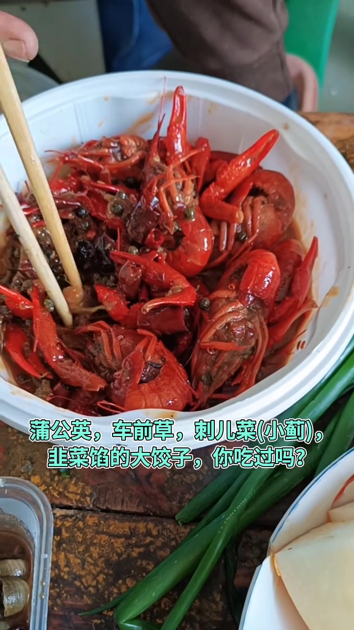 今儿午饭野菜馅大饺子还有这些特色菜