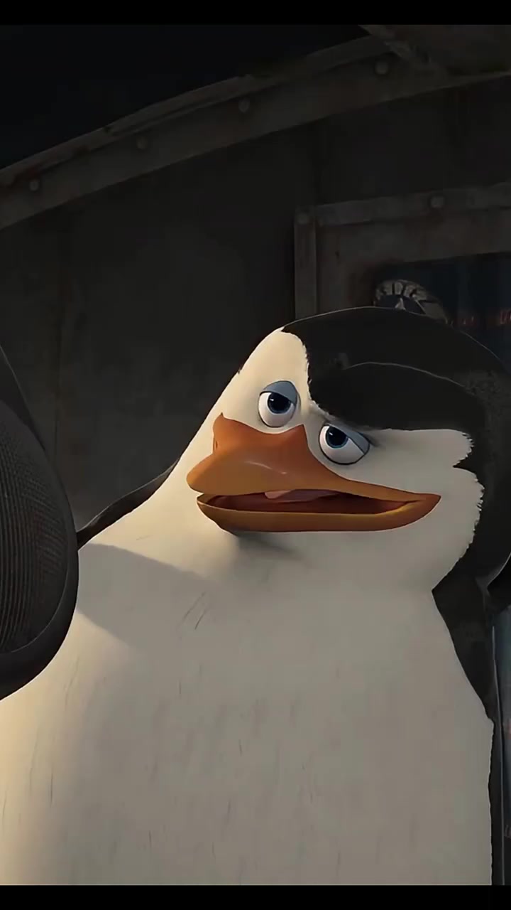 马达加斯加的企鹅,谁说企鹅不能飞的,老大纯概念神啊最强指挥!马达加斯加的企鹅 概念神