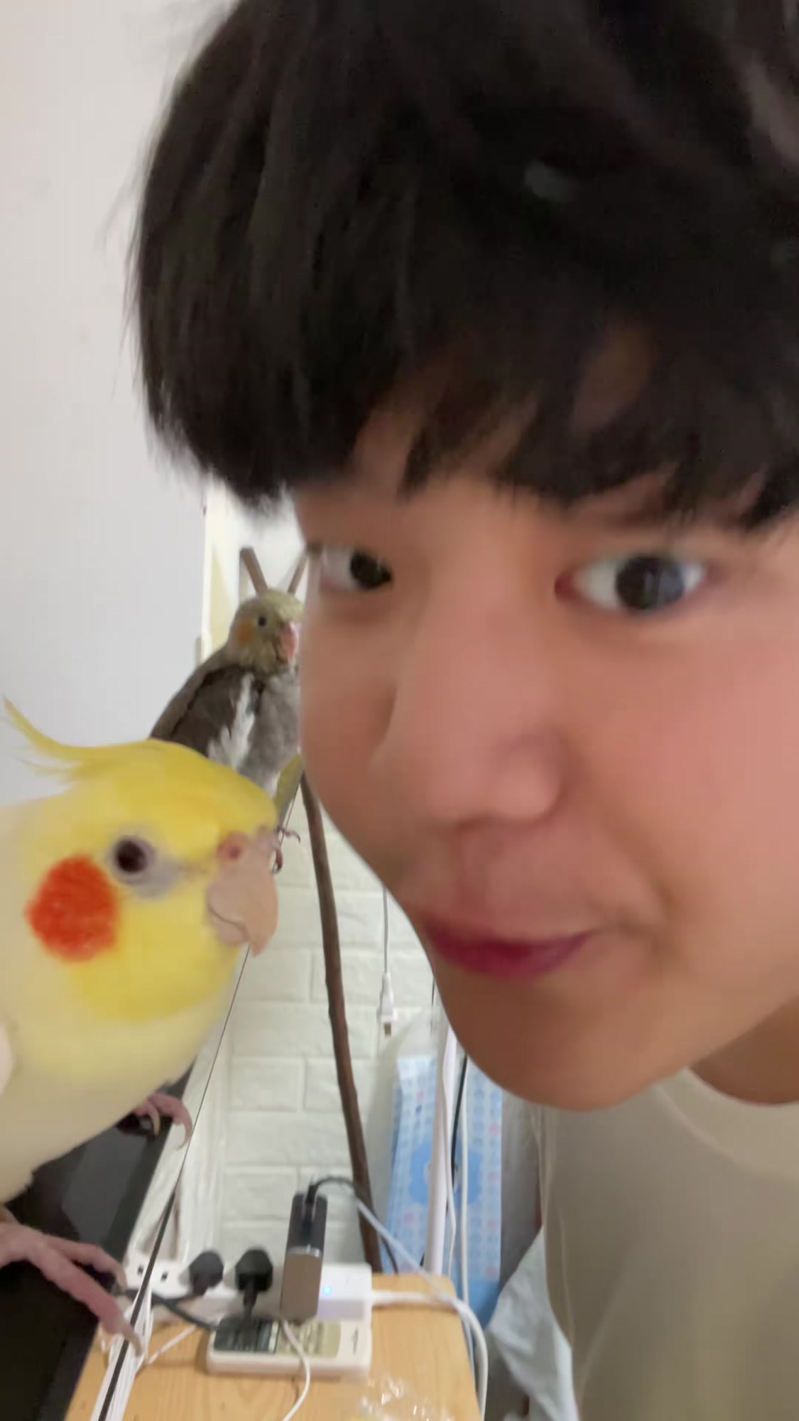 口水鸡制作教程,美味家常菜详细步骤