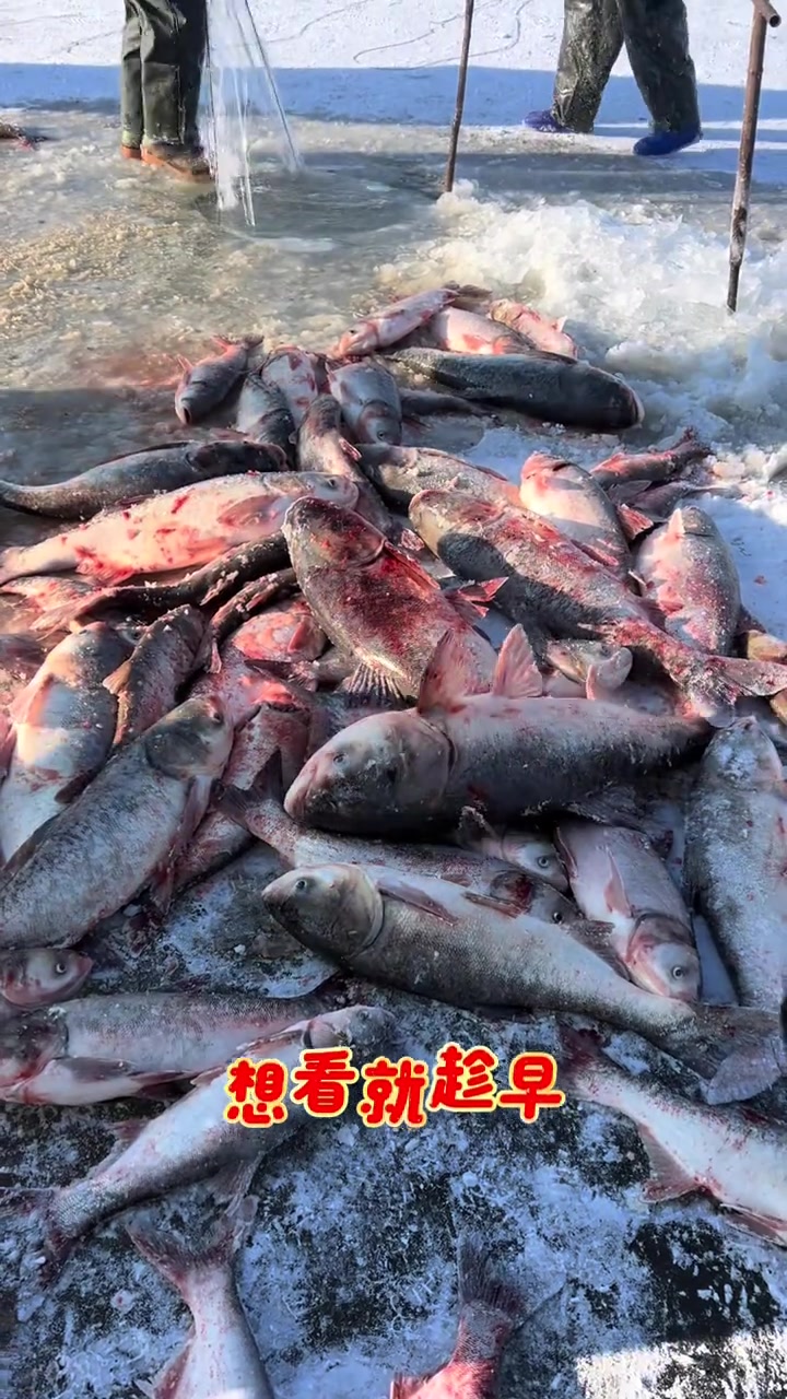 吉林市松花湖西海浪冬捕开始了