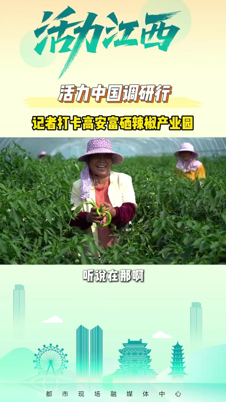 「江西小炒的秘密就藏在高安」江西小炒为啥能火出圈小辣椒种出红火日子  当江西小炒火出圈,你