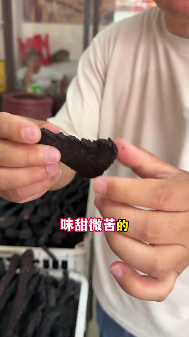 肉苁蓉个子与切片，记住三点防被骗！