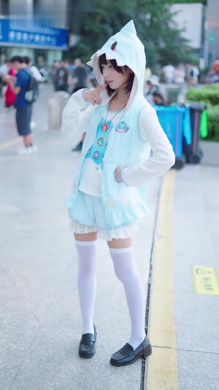 还是这只小鲨鱼