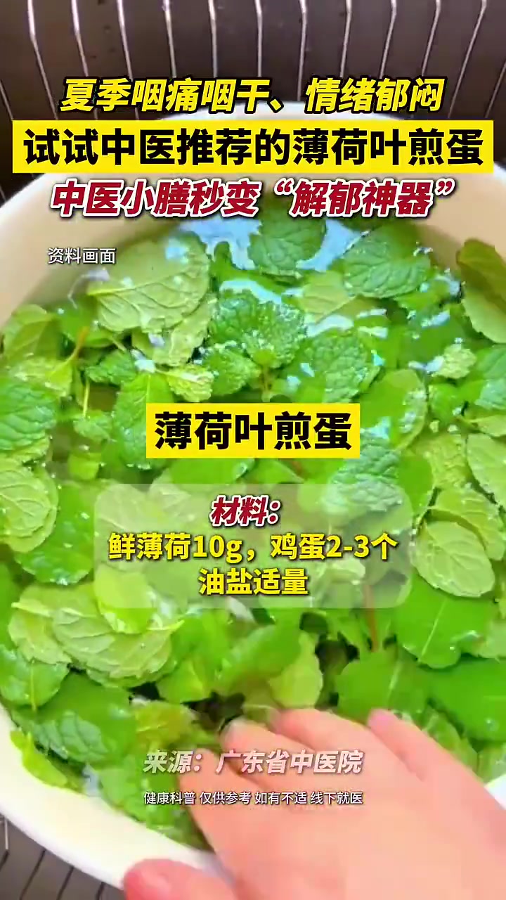 夏季咽痛咽干、情绪郁闷,戳视频↓简单几步做一道薄荷叶煎蛋,快来试试吧!