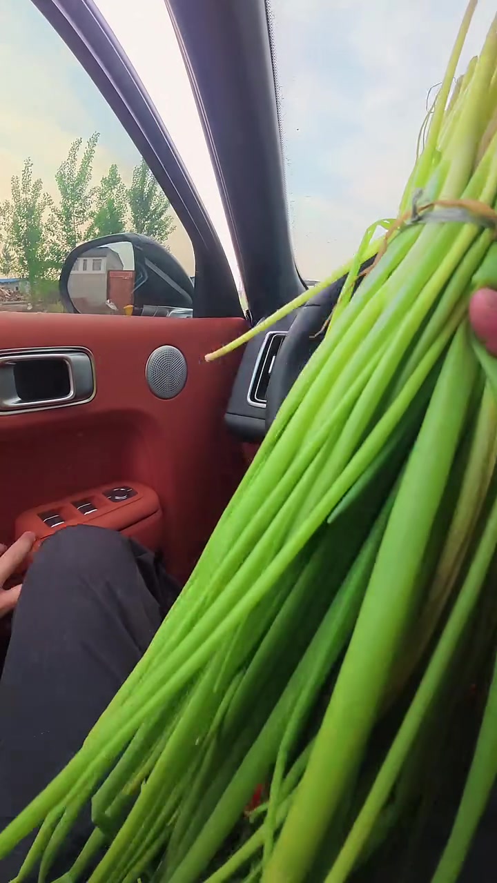 羊肉菌汤炖羊三宝