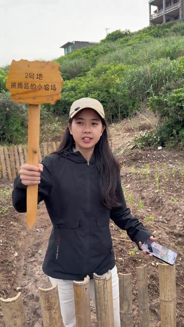 岛上小农场改造，用心做每一件事情就会有结果1.0版本菜地已经正式完工兄弟们一起期待一下2.