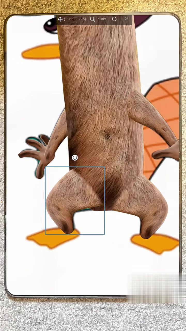 可爱又神秘的鸭嘴兽泰瑞!