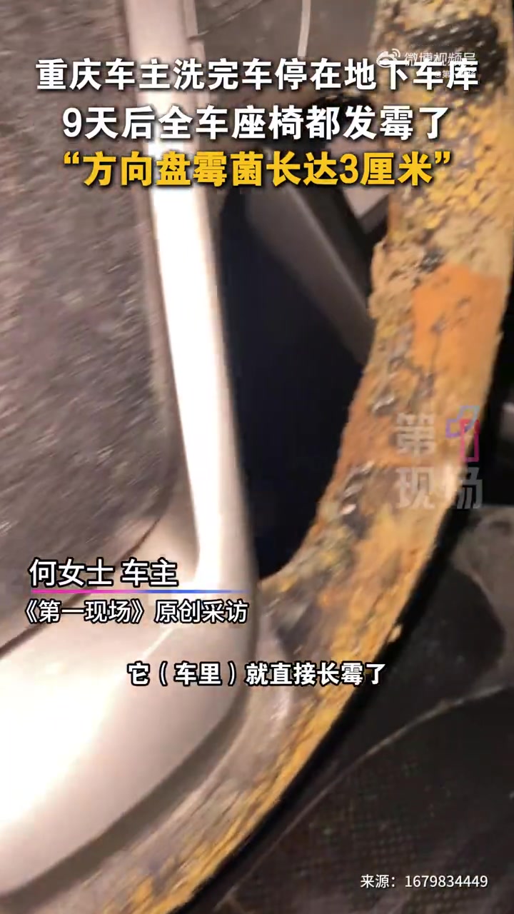 「“方向盘霉菌长达3厘米”!车主洗车没晾干9天后全车发霉」7月12日,重庆,网友发布视频表