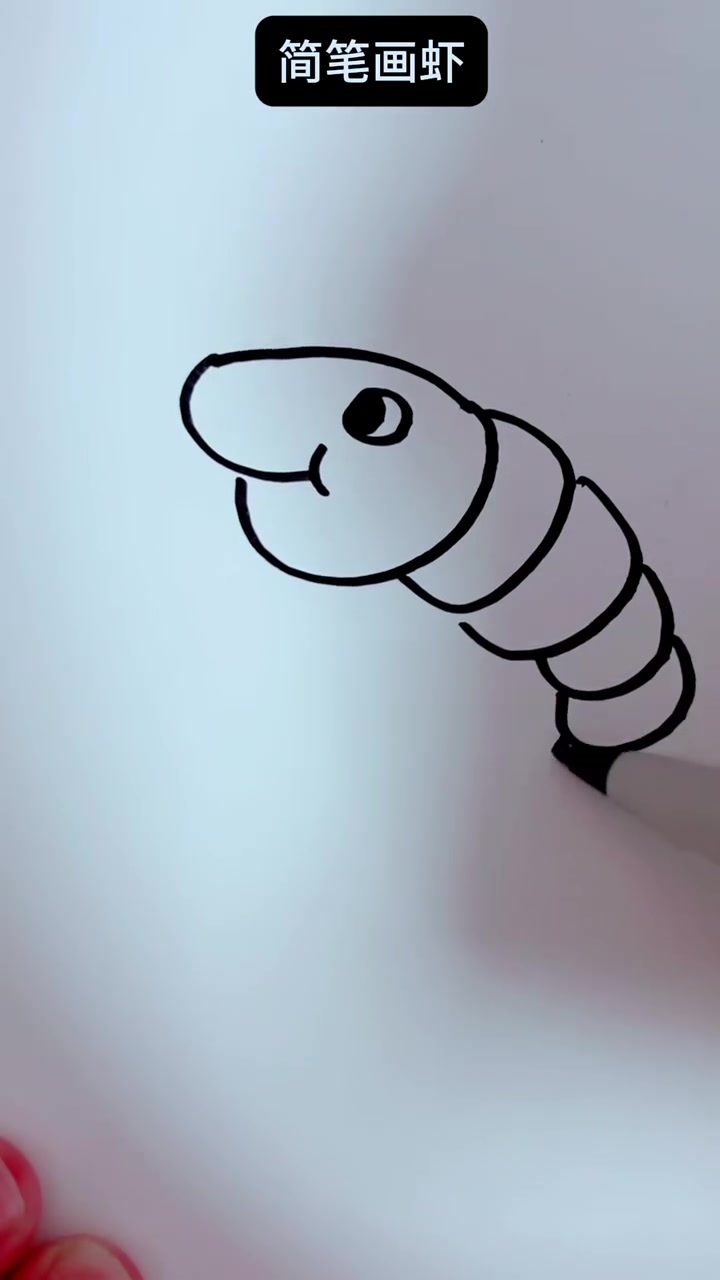 简笔画虾
