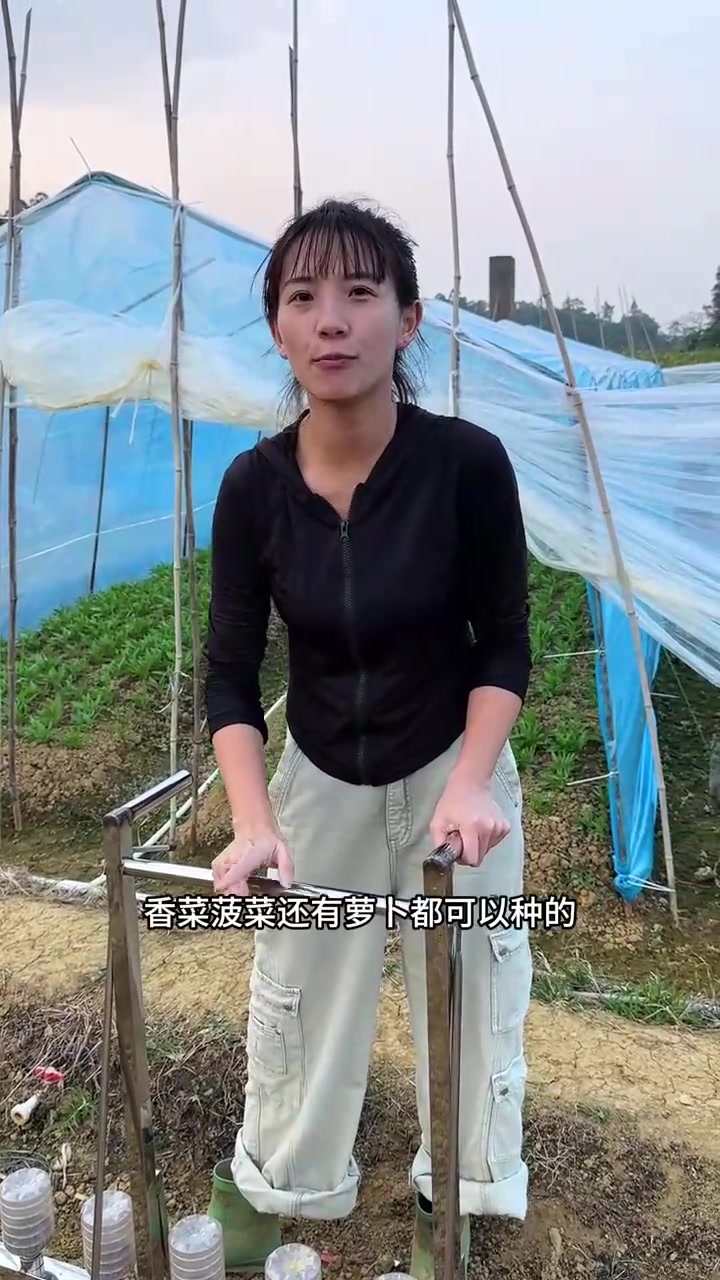 开始露天种植空心菜了