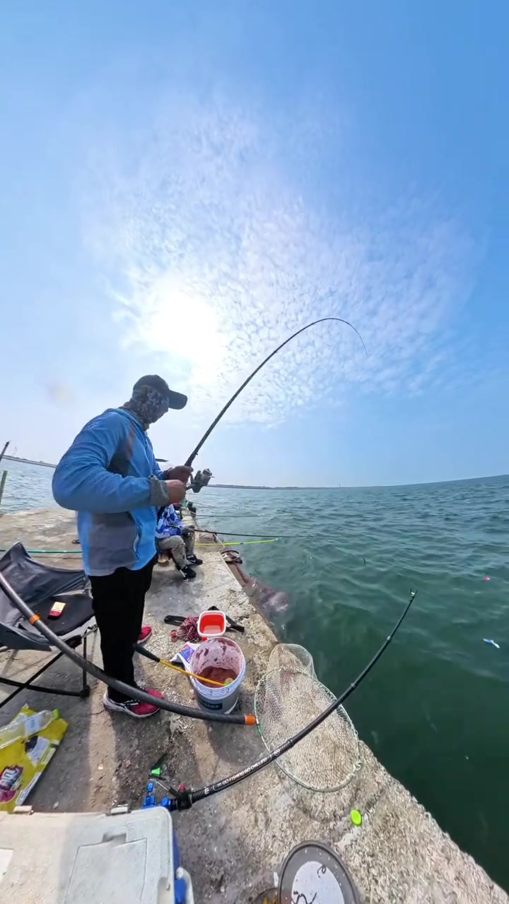 教你钓鲻鱼，鲻鱼怎么钓，矶钓竿，滑漂线组，大物漂，孤东海堤钓鲻鱼，东营海钓