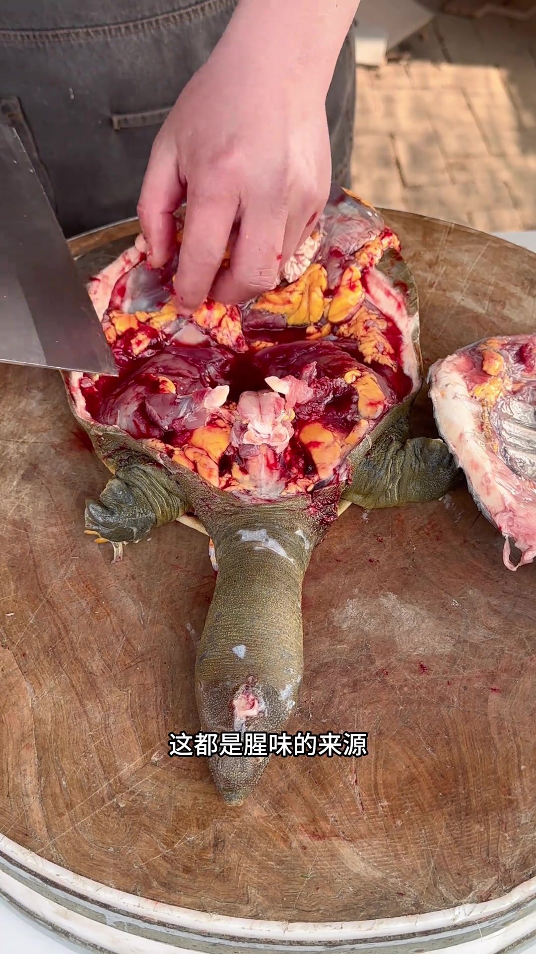 家常红烧甲鱼做法，软烂入味超简单！