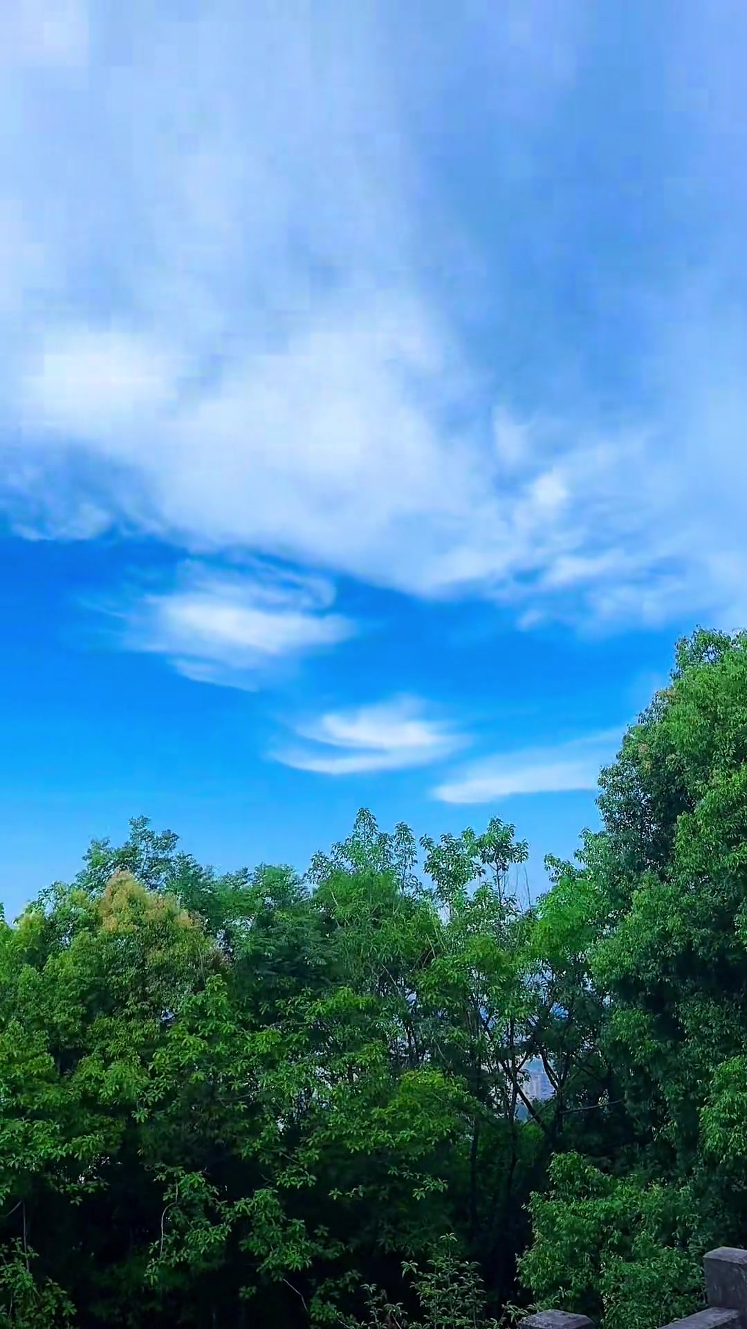原创视频,手机摄影,治愈系风景作品分享