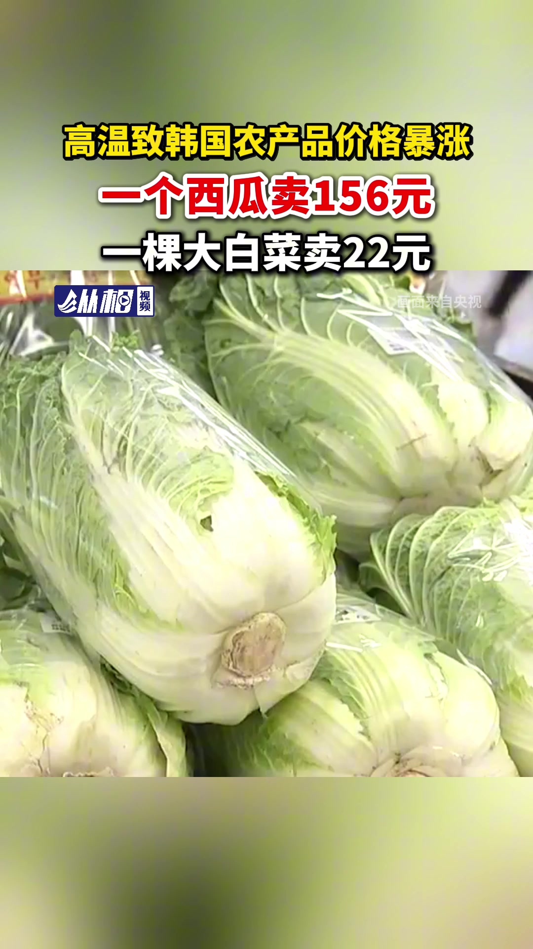 高温致韩国农产品价格暴涨,一个西瓜卖156元,一棵大白菜卖22元