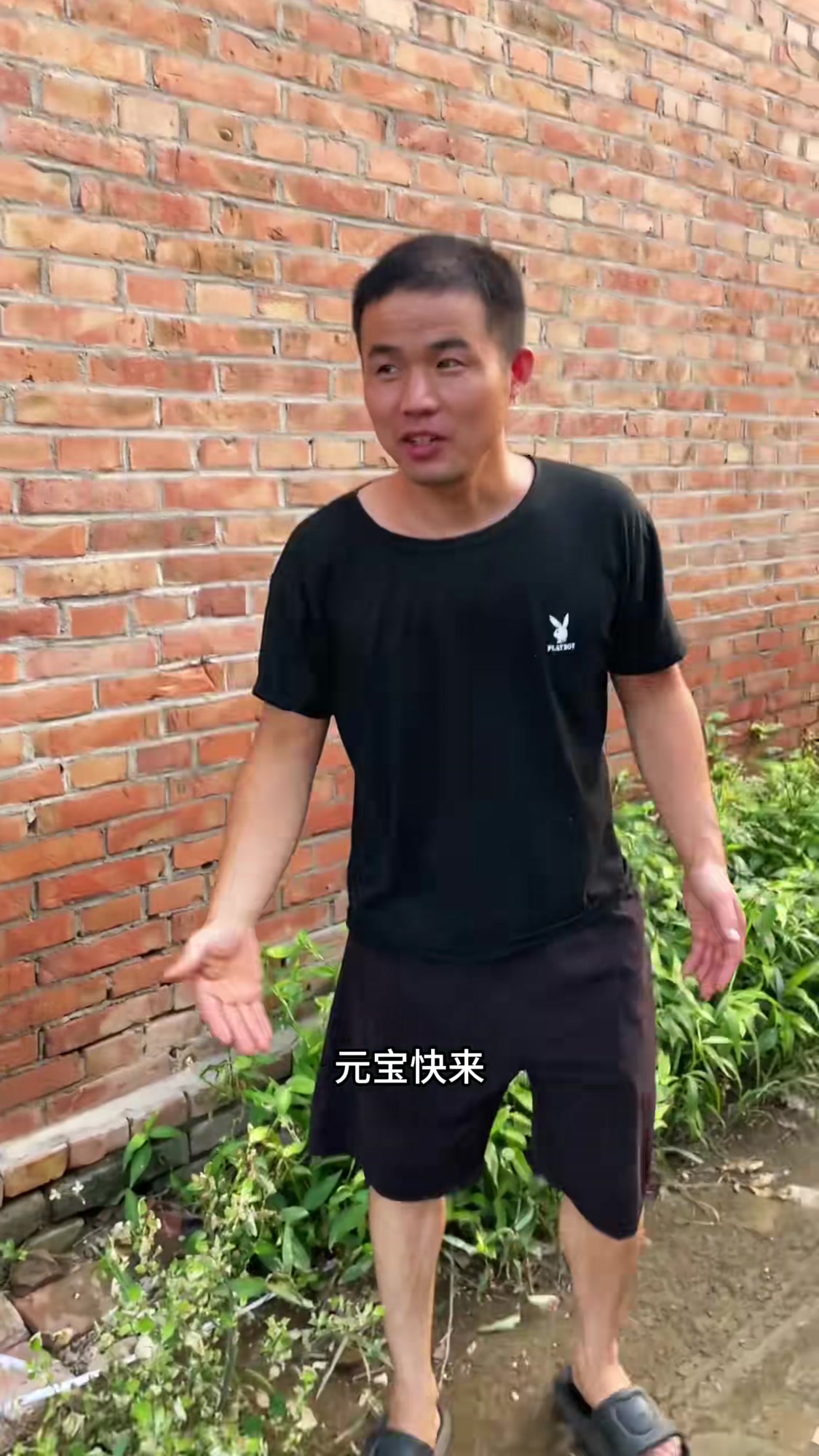 萌鸡小队的魅力与吸引力,你们会喜欢这样的角色吗