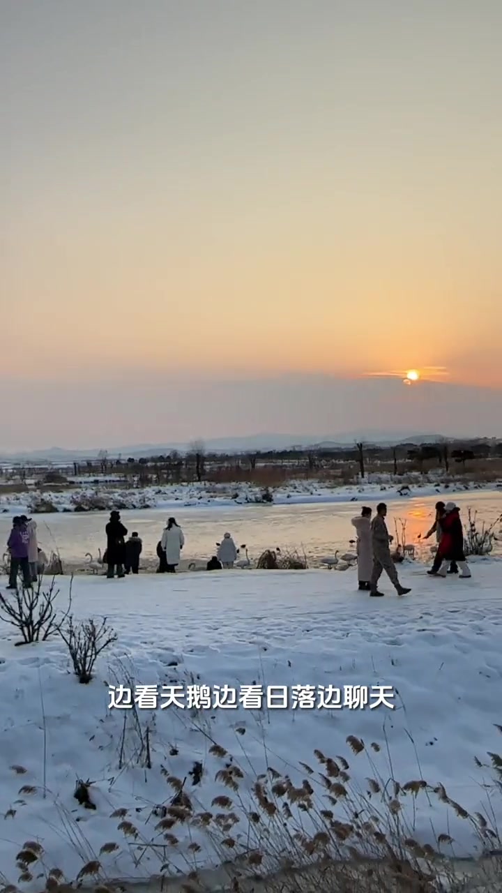 天鹅湖周边游玩攻略,不仅能看天鹅还有宝藏打卡地别错过