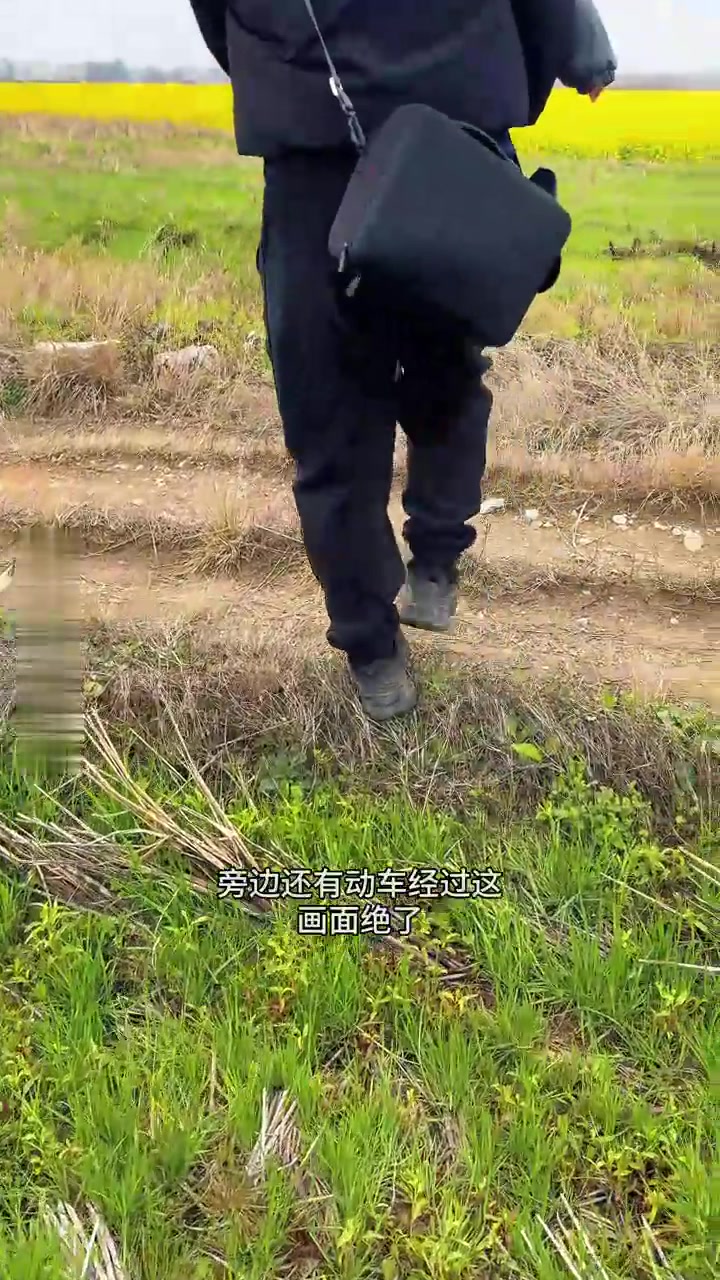 来广西这个美丽乡村，看油菜花田上开往春天的列车，感受千年古樟树的沧桑